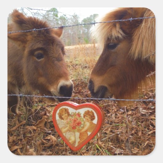 Miniatuur Donkey & Horse Valentijn Heart Vierkante Sticker (Voorkant)