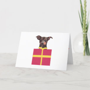Miniatuur Doos Pinscher Feestdagen Kaart