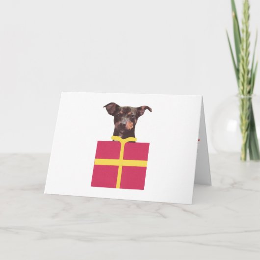 Miniatuur Doos Pinscher Feestdagen Kaart (Voorkant)