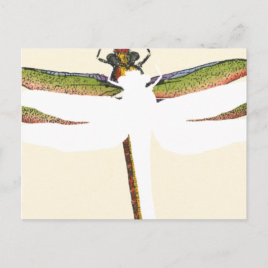Miniatuur Dragonfly op witte achtergrond Briefkaart (Voorkant)