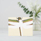 Miniatuur Dragonfly op witte achtergrond Briefkaart (Staand voorkant)