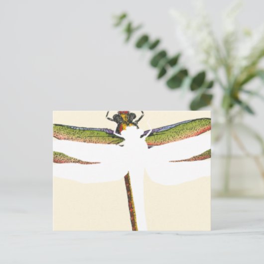 Miniatuur Dragonfly op witte achtergrond Briefkaart (Staand voorkant)