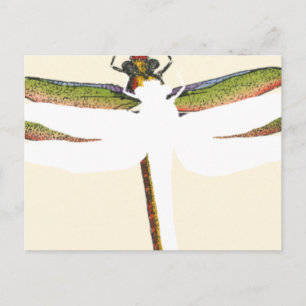 Miniatuur Dragonfly op witte achtergrond Briefkaart