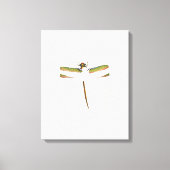 Miniatuur Dragonfly op witte achtergrond Canvas Afdruk (Voorkant)