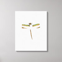 Miniatuur Dragonfly op witte achtergrond
