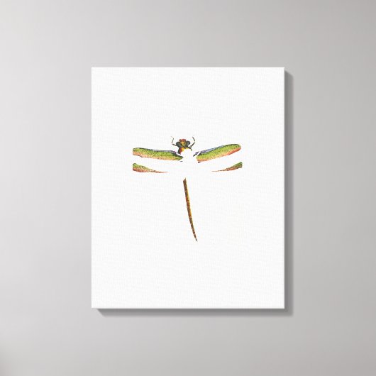 Miniatuur Dragonfly op witte achtergrond Canvas Afdruk (Voorkant)