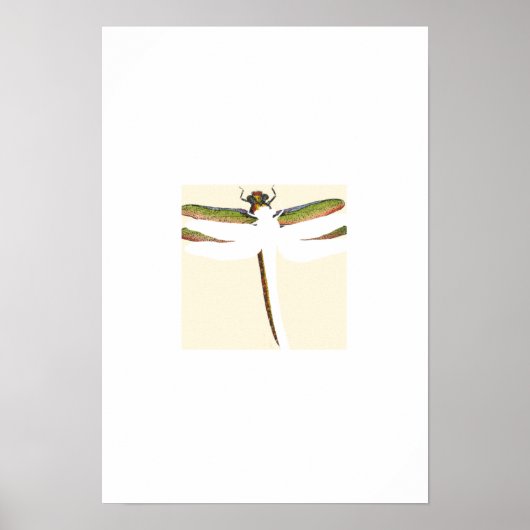 Miniatuur Dragonfly op witte achtergrond Poster (Voorkant)