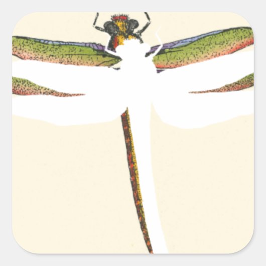 Miniatuur Dragonfly op witte achtergrond Vierkante Sticker (Voorkant)