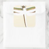 Miniatuur Dragonfly op witte achtergrond Vierkante Sticker (Tas)