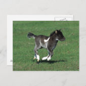 Miniatuur Foal Running Briefkaart (Voorkant / Achterkant)