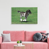 Miniatuur Foal Running Canvas Afdruk (Insitu (Woonkamer))