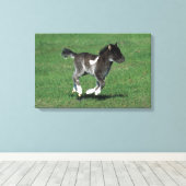 Miniatuur Foal Running Canvas Afdruk (Insitu (Houten vloer))