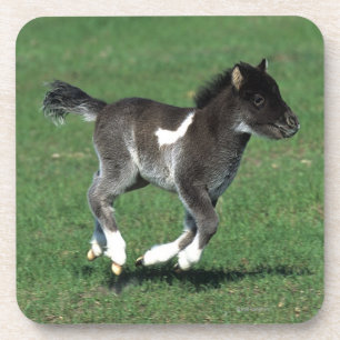 Miniatuur Foal Running Drankjes Onderzetter