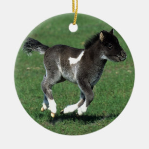 Miniatuur Foal Running Keramisch Ornament