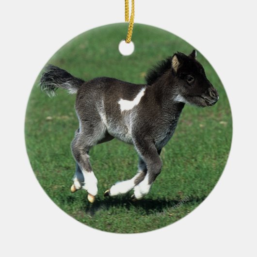 Miniatuur Foal Running Keramisch Ornament (Voorkant)