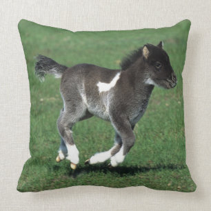 Miniatuur Foal Running Kussen