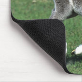 Miniatuur Foal Running Muismat (Hoek)