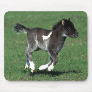 Miniatuur Foal Running Muismat