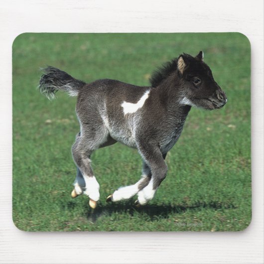 Miniatuur Foal Running Muismat (Voorkant)