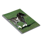 Miniatuur Foal Running Notitieboek (Rechterzijde)