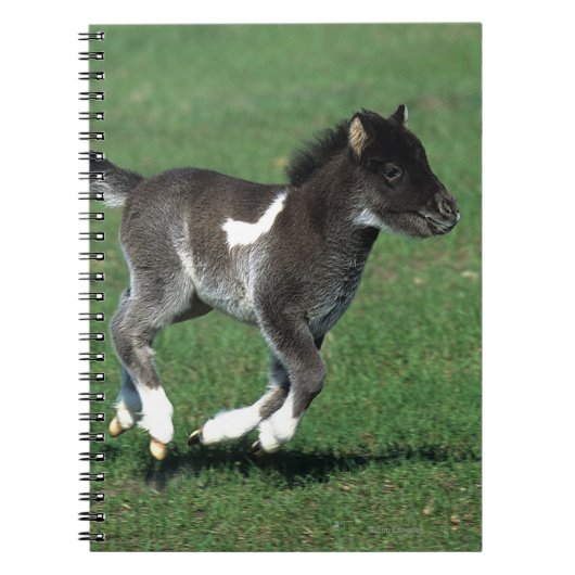 Miniatuur Foal Running Notitieboek (Voorkant)