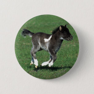 Miniatuur Foal Running Ronde Button 5,7 Cm