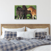 Miniatuur Foals 1 Canvas Afdruk (Insitu (Slaapkamer))