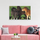 Miniatuur Foals 1 Canvas Afdruk (Insitu (Woonkamer))