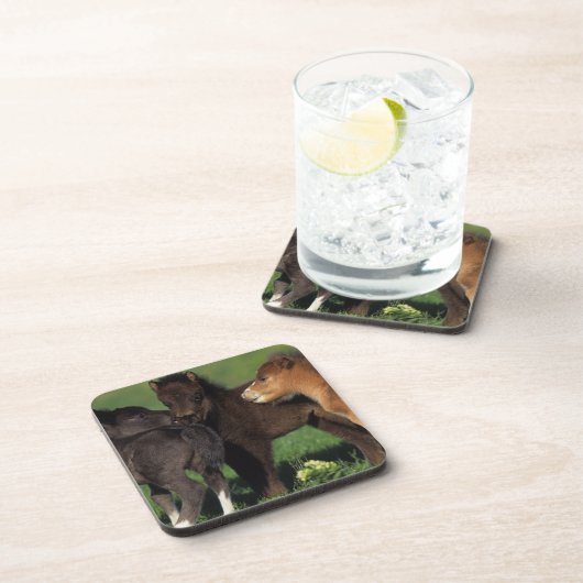 Miniatuur Foals 1 Drankjes Onderzetter (Rechterzijde)