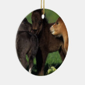 Miniatuur Foals 1 Keramisch Ornament (Rechts)