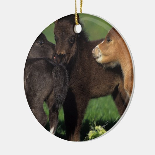 Miniatuur Foals 1 Keramisch Ornament (Links)