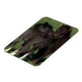 Miniatuur Foals 1 Magneet (Linkerzijde)