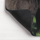 Miniatuur Foals 1 Muismat (Hoek)