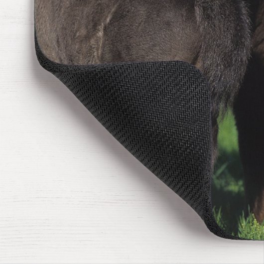 Miniatuur Foals 1 Muismat (Hoek)