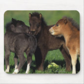 Miniatuur Foals 1 Muismat (Voorkant)