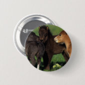 Miniatuur Foals 1 Ronde Button 5,7 Cm (Voorkant /achterkant)