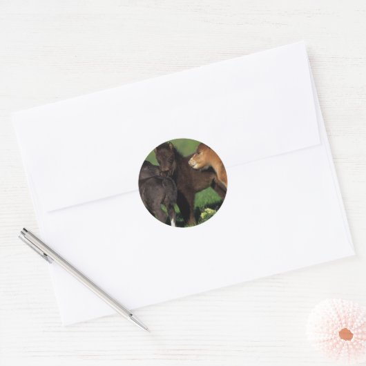 Miniatuur Foals 1 Ronde Sticker (Envelop)