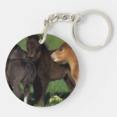 Miniatuur Foals 1 Sleutelhanger (Achterkant)