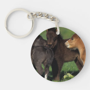 Miniatuur Foals 1 Sleutelhanger