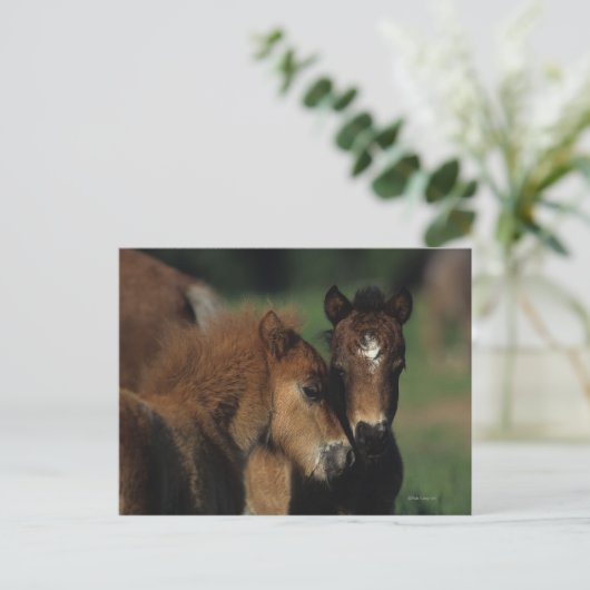 Miniatuur Foals 2 Briefkaart (Staand voorkant)