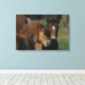 Miniatuur Foals 2 Canvas Afdruk (Insitu (Houten vloer))