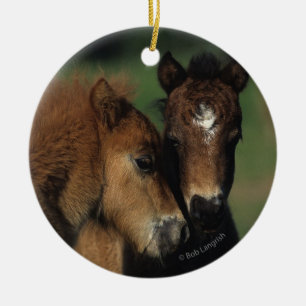 Miniatuur Foals 2 Keramisch Ornament