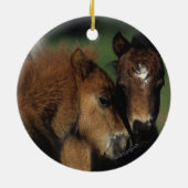 Miniatuur Foals 2 Keramisch Ornament (Achterkant)