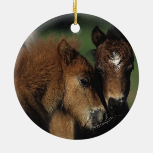 Miniatuur Foals 2 Keramisch Ornament (Achterkant)