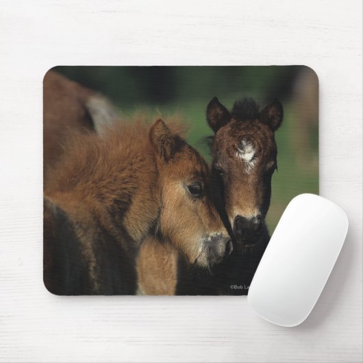 Miniatuur Foals 2 Muismat (Met muis)