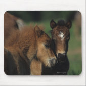 Miniatuur Foals 2 Muismat (Voorkant)