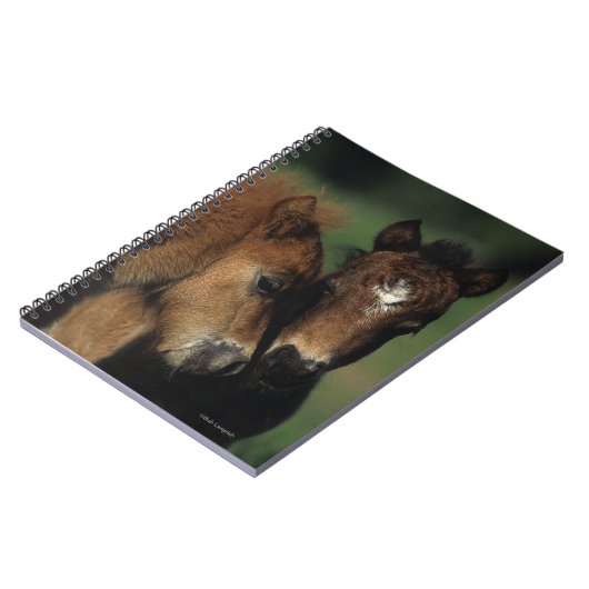 Miniatuur Foals 2 Notitieboek (Linkerzijde)