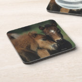 Miniatuur Foals 2 Onderzetter (Linkerzijde)