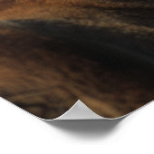 Miniatuur Foals 2 Poster (Hoek)