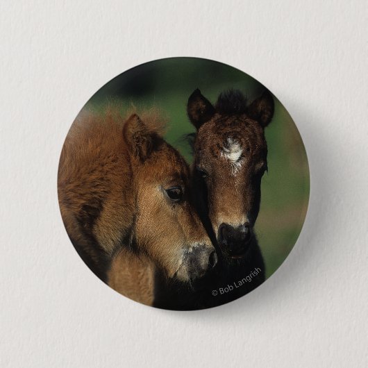Miniatuur Foals 2 Ronde Button 5,7 Cm (Voorkant)